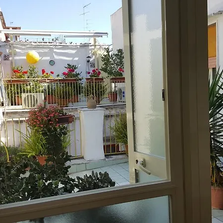 Soriano44 3*