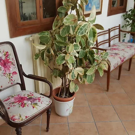 Bed & Breakfast Soriano44 3*